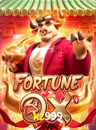 KZ999.COM